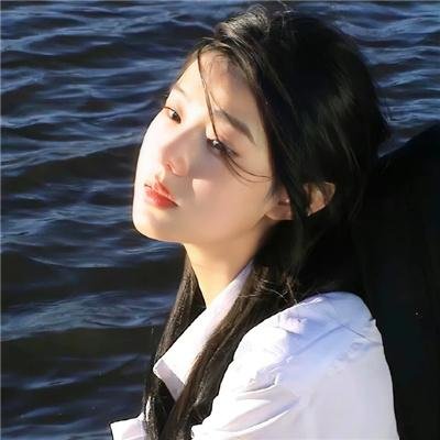 森林之境