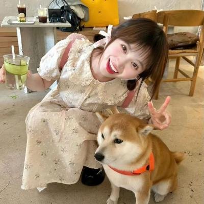 办公室第六季